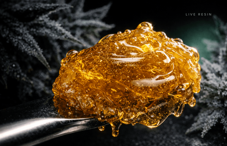 Live Resin cannabis concentrate