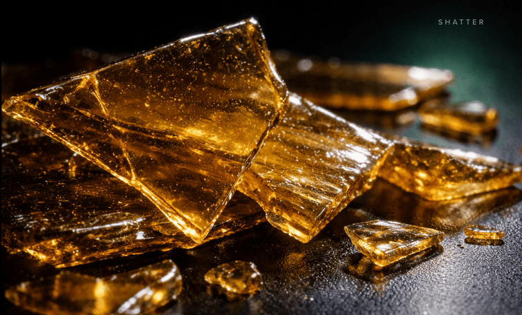 Shatter cannabis concentrate