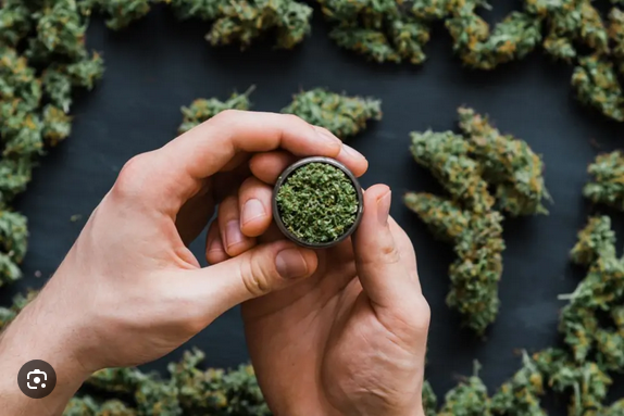 Minnesota Cannabis Laws & Regulations