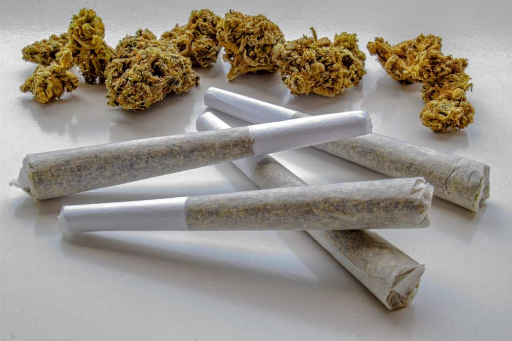 Dosing Cannabis Flower & Pre-Rolls