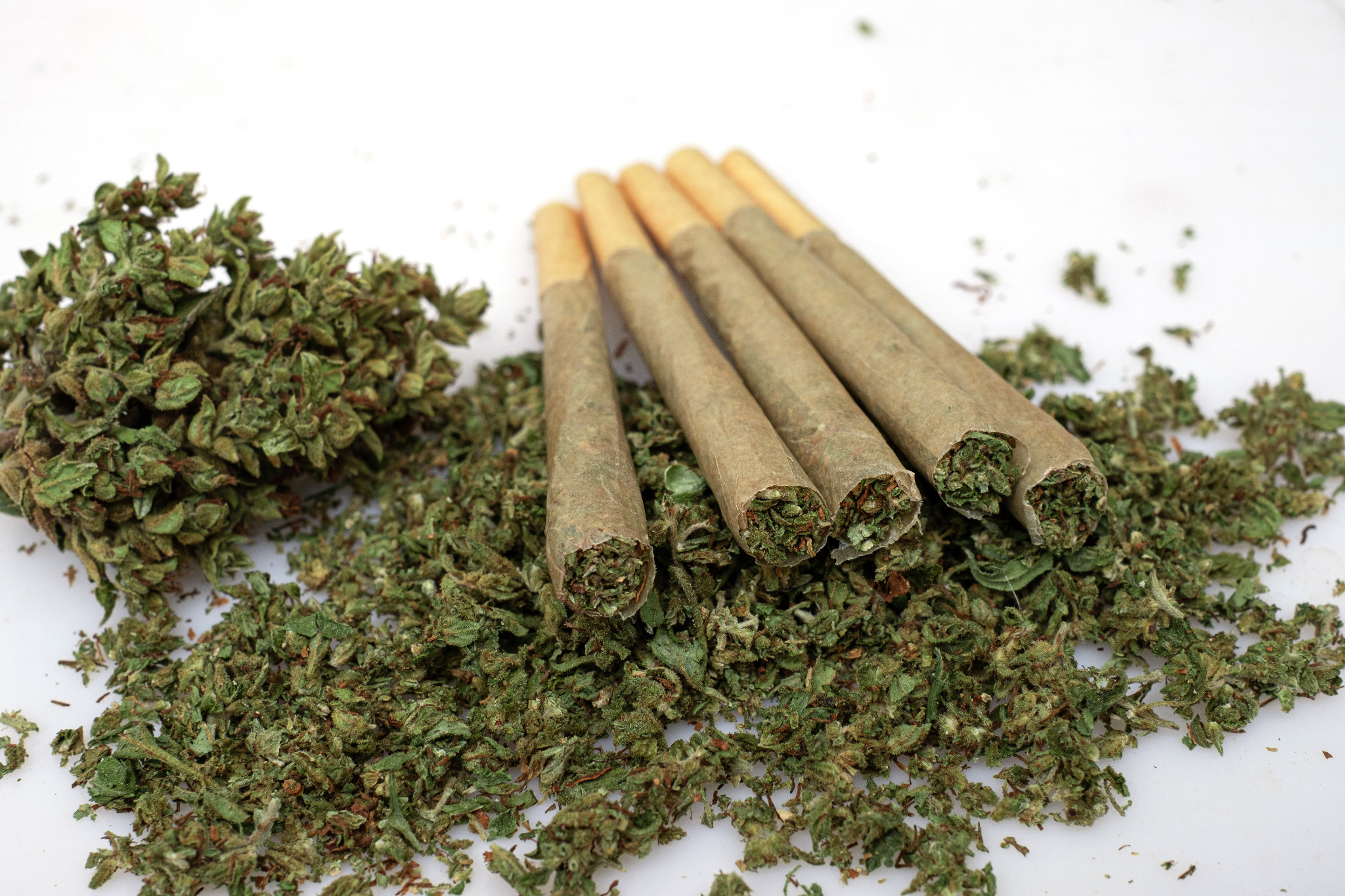 Pre-Rolls quality at O'Buds Cannabis Annandale