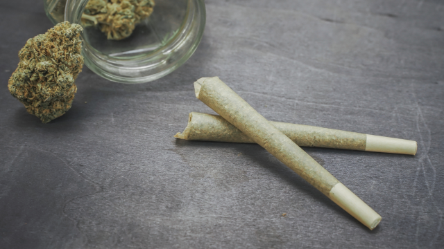 Pre-Rolls at O'Buds Cannabis Dispensary Annandale MN