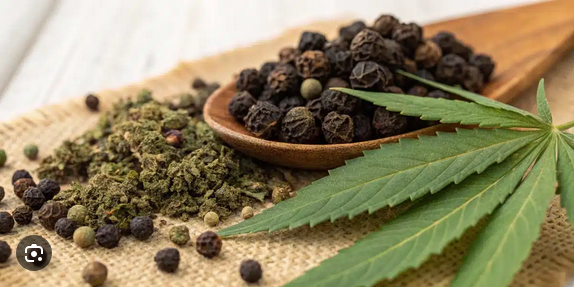 Caryophyllene — The Spicy Terpene