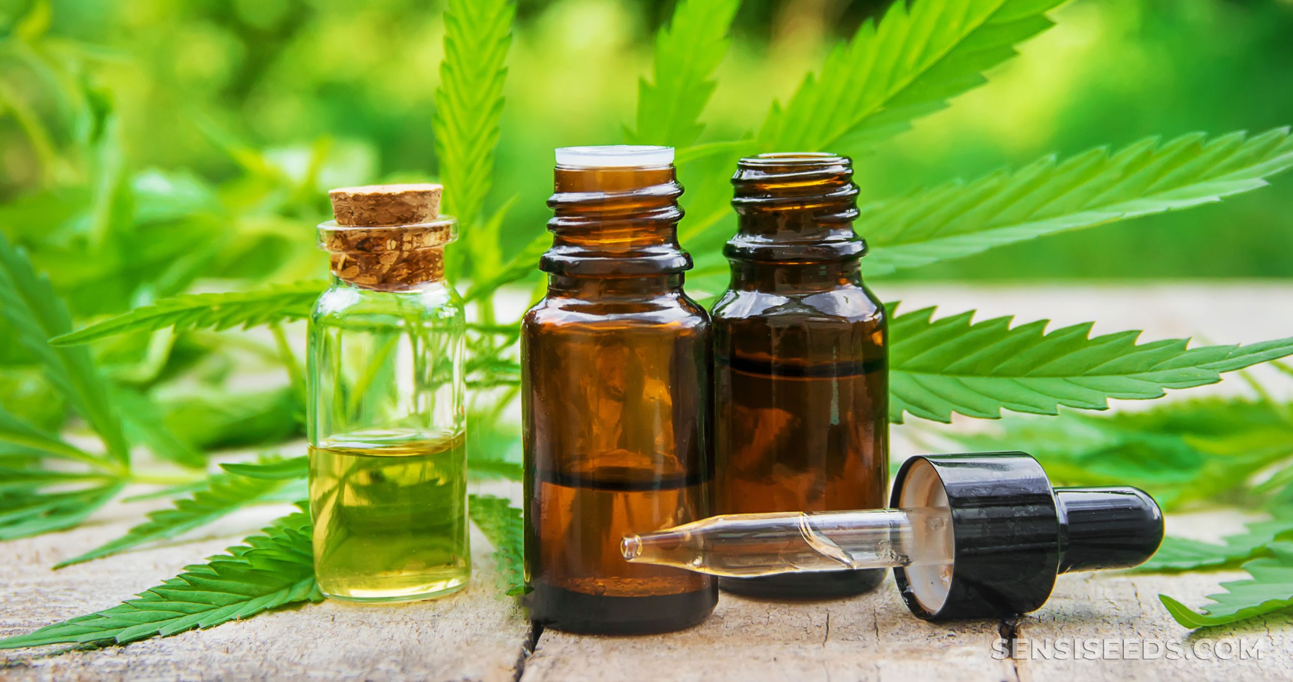 Tinctures selection at O'Buds Cannabis
